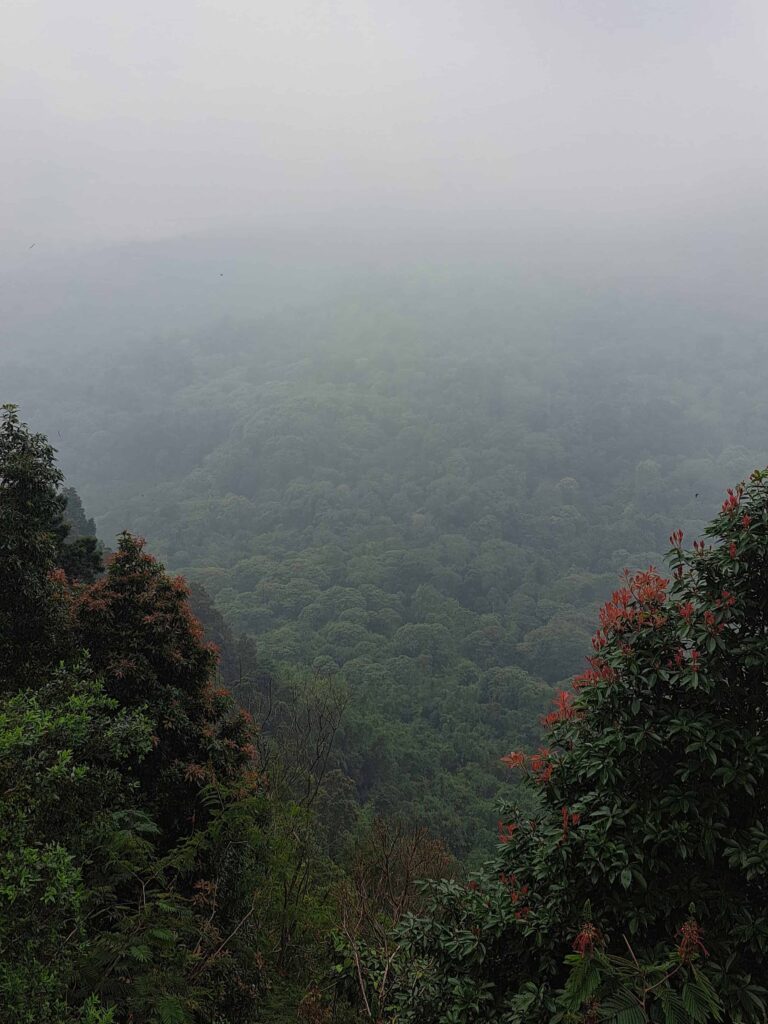 panorama kabut petung sewu malang